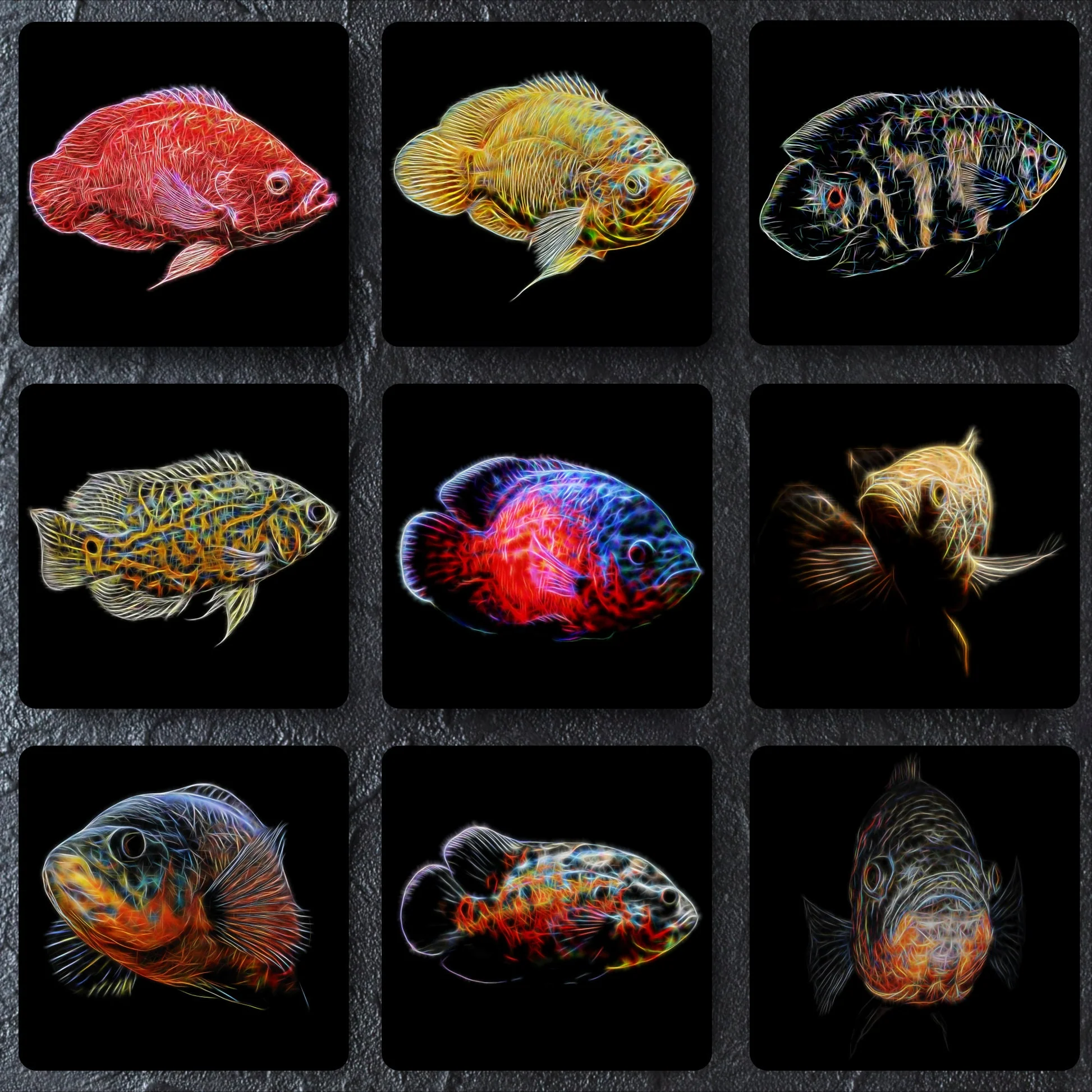 Marine Fish Breeding